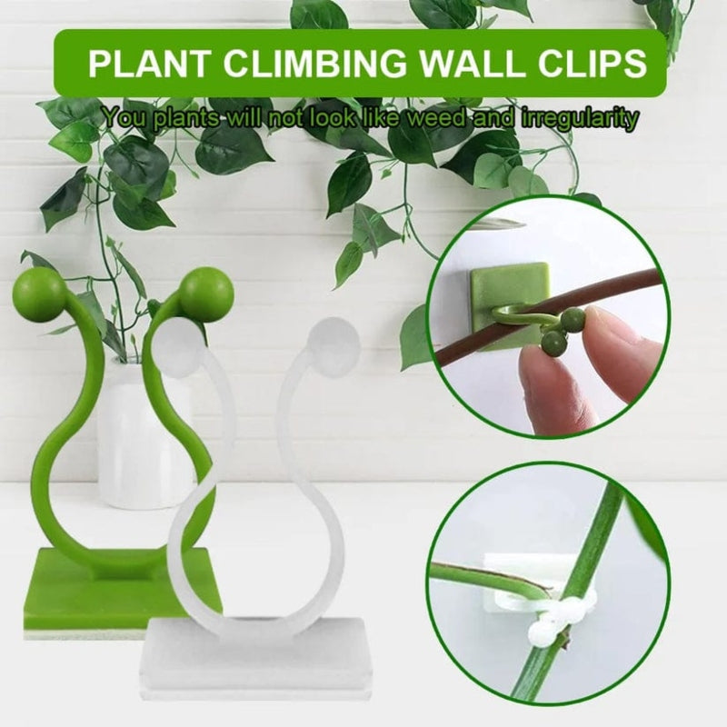 10pcs self adhesive plant climbing wall clip - Prozone