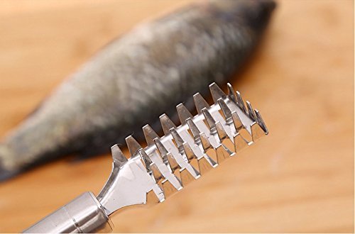 Fish Scale Remover Fish - Prozone