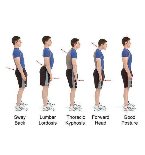 Pack of 2 royal posture back  support belt for pain relief