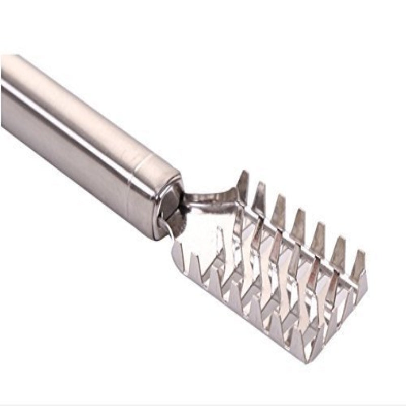 Fish Scale Remover Fish - Prozone