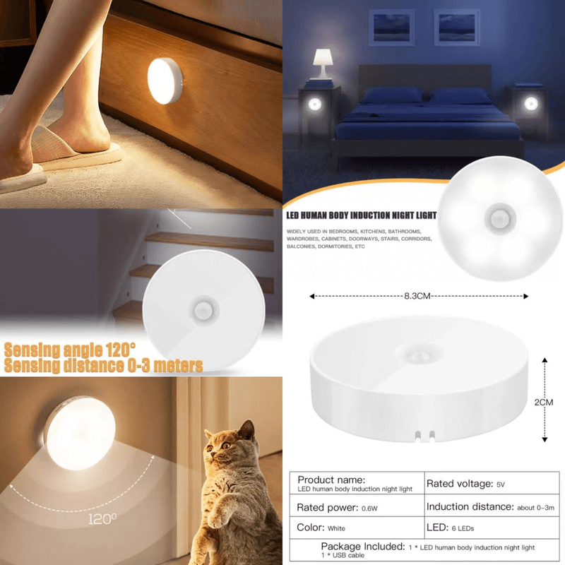 Motion sensor led light