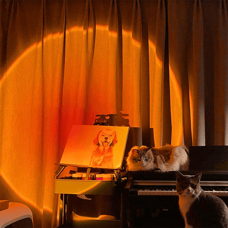 Sunset led projection night light