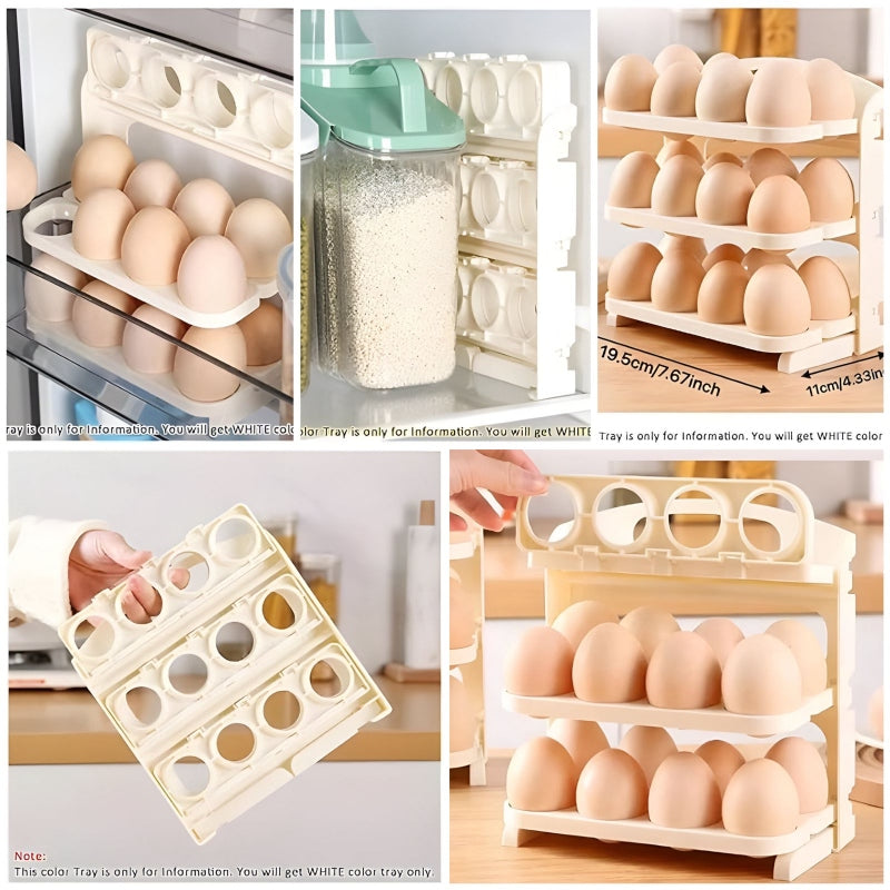 24 grid egg storage container - Prozone