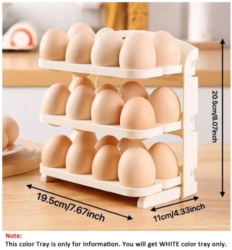 24 grid egg storage container - Prozone