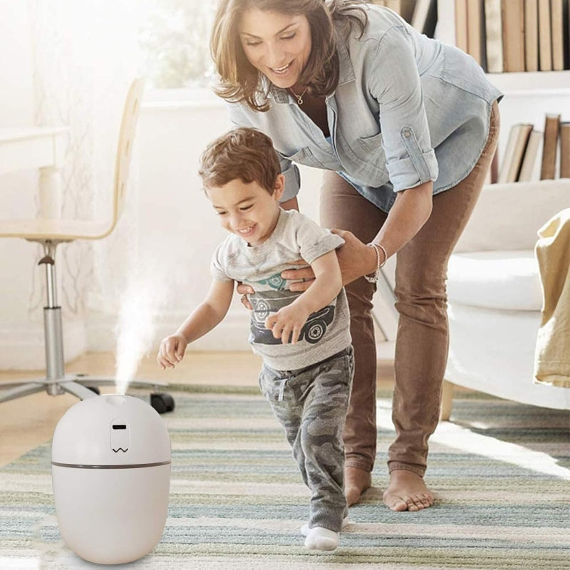 Portable usb mist maker air treatment - Prozone