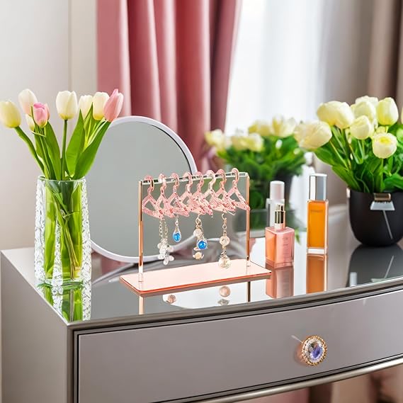 Earring hanger rack with mini hangers - Prozone