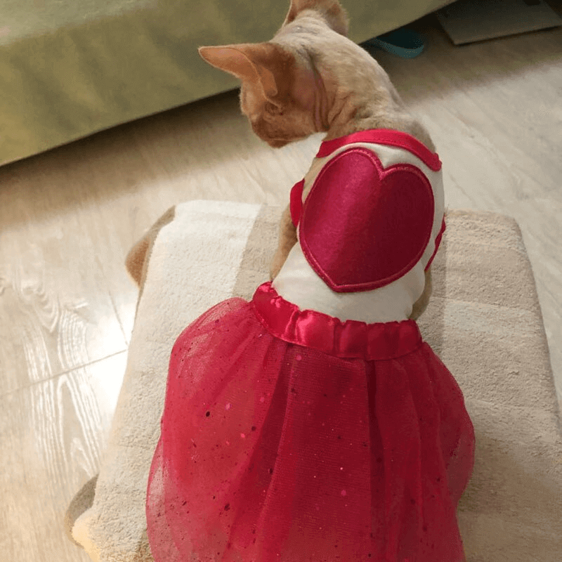 Cat dog clothes red heart cat dress skirt