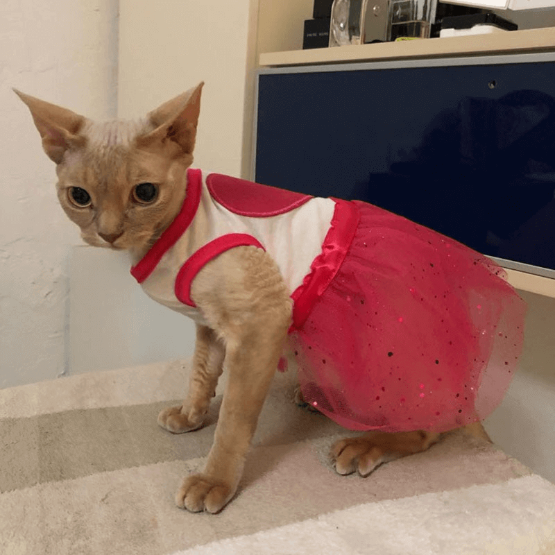 Cat dog clothes red heart cat dress skirt
