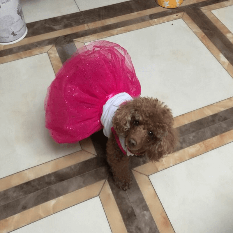 Cat dog clothes red heart cat dress skirt