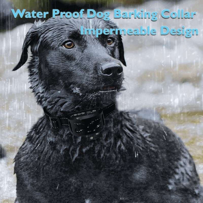 Dog training collars with beep rechargeable