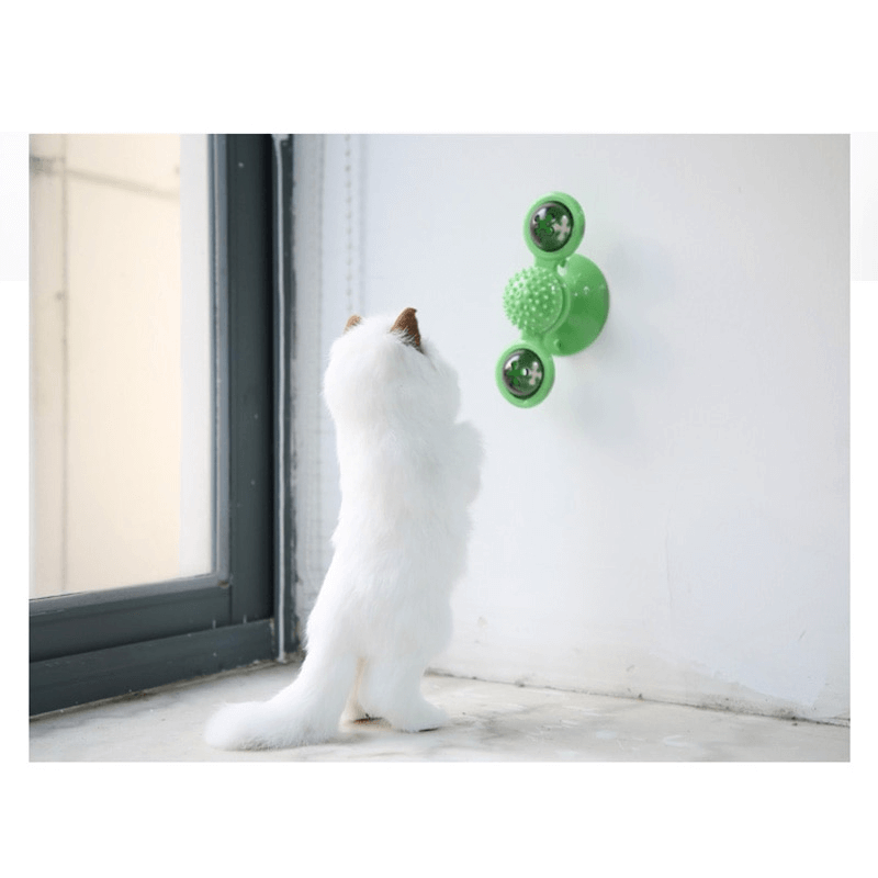 2 in1 cat turntable toy windmill groomer toy