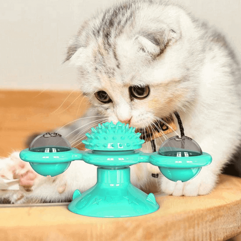 2 in1 cat turntable toy windmill groomer toy
