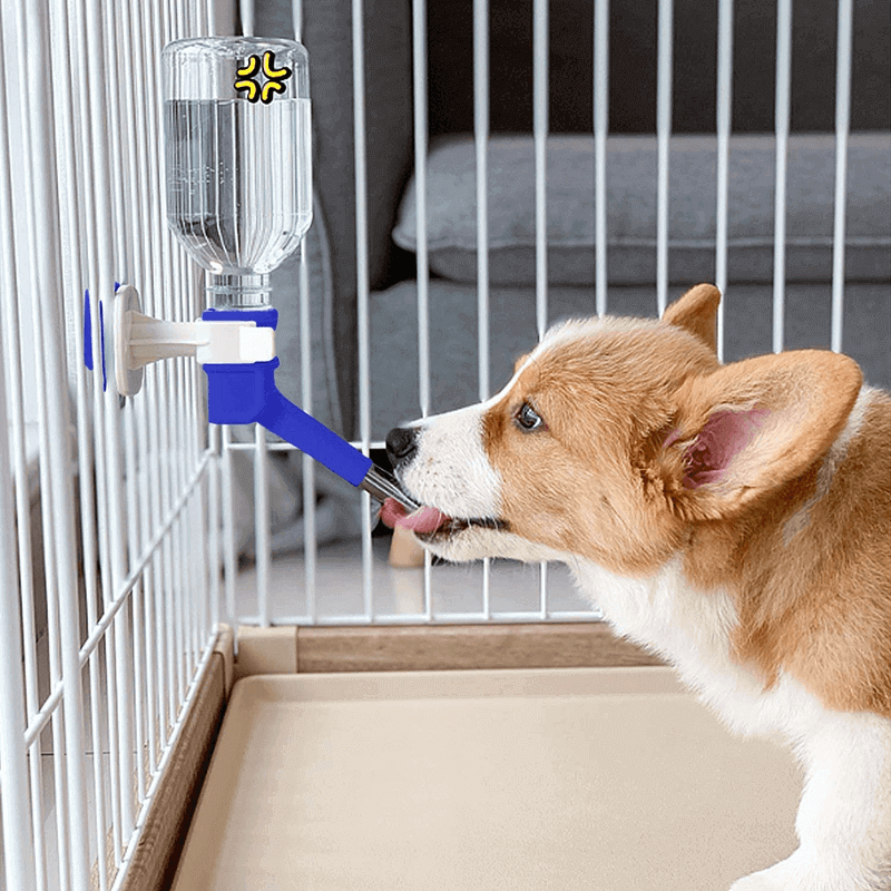 150ml pet water bottle chew proof waterer