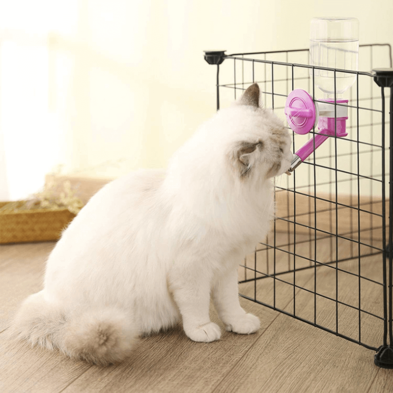 150ml pet water bottle chew proof waterer