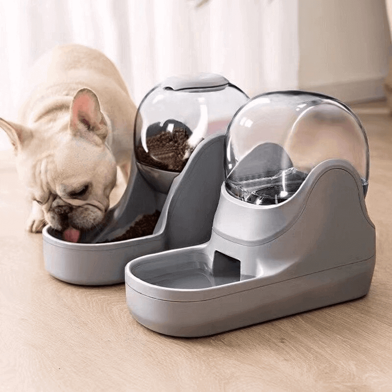 2 in 1 auto pet food feeder and water dispenser