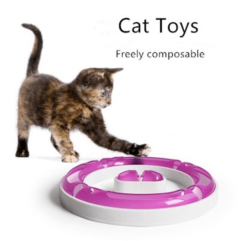 Interactive plastic cat chasing ball track toy