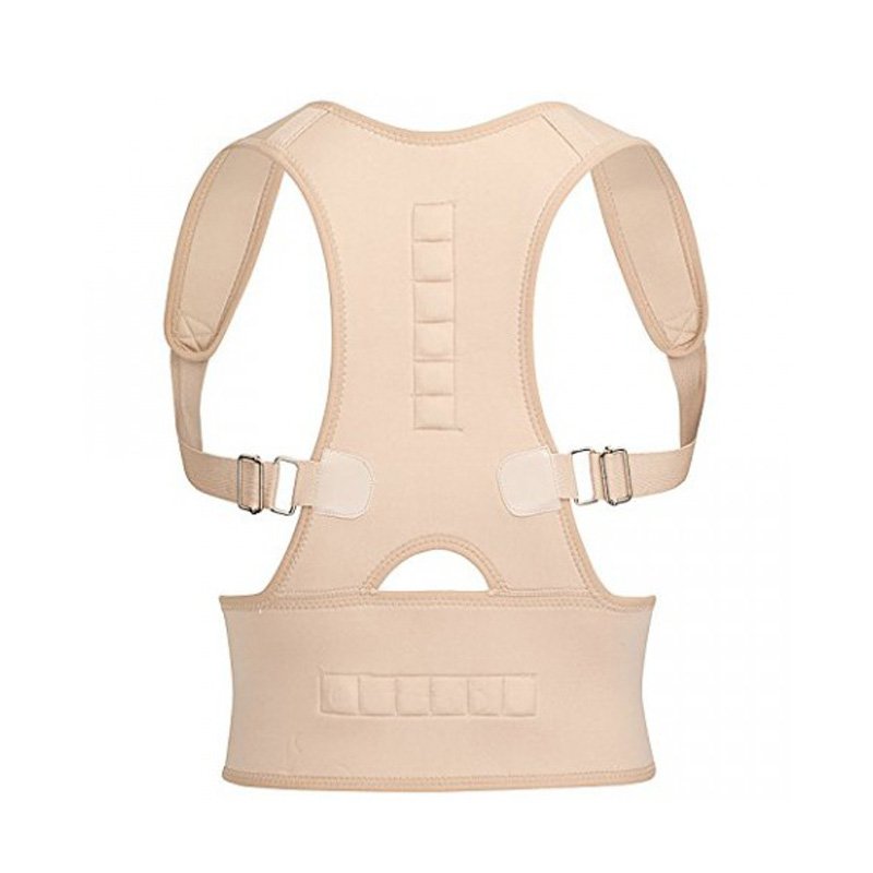 Pack of 2 royal posture back  support belt for pain relief