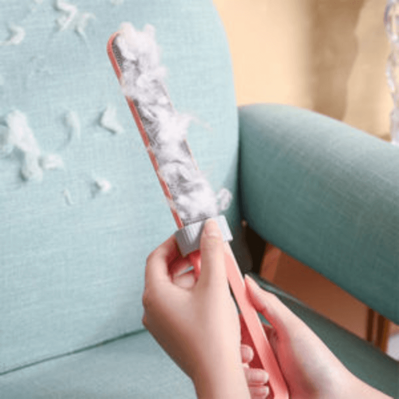 Lint remover brush