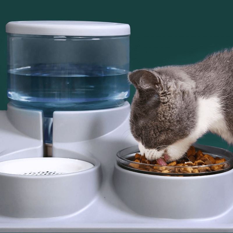 1.8l auto pet water dispenser and food bowl set