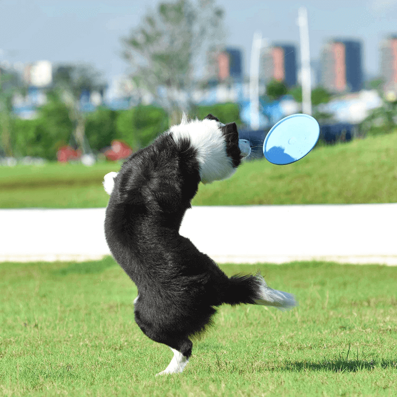Natural soft rubber frisbee for dogs
