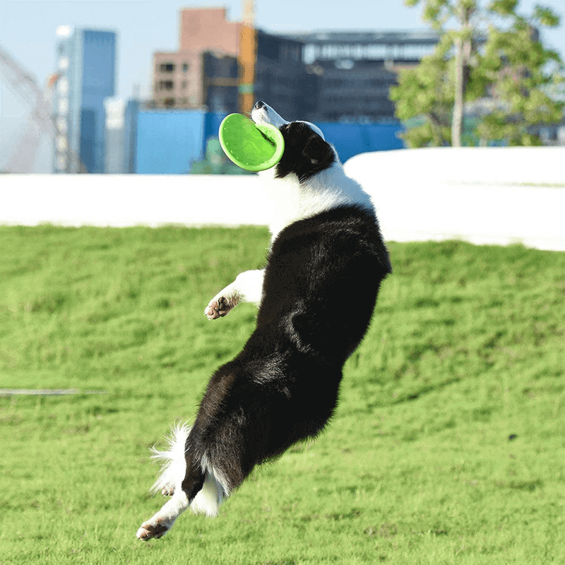 Natural soft rubber frisbee for dogs