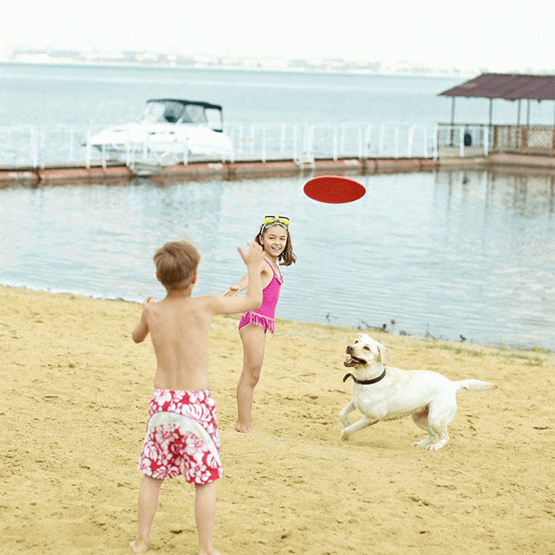 Natural soft rubber frisbee for dogs